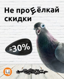 Скидки до 30% в Цитрусе с 05 по 07 января - kiev.karavan.com.ua